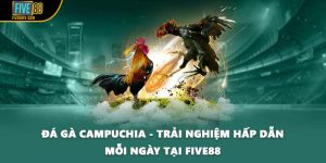 Đá Gà Campuchia - Trải Nghiệm Hấp Dẫn Mỗi Ngày Tại FIVE88 