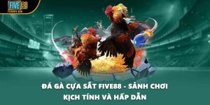 Đá Gà Cựa Sắt FIVE88 - Sảnh Chơi Kịch Tính Và Hấp Dẫn