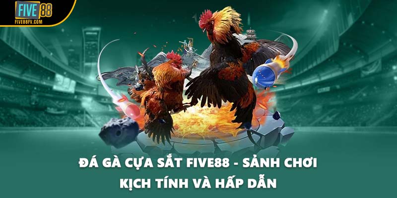 Đá Gà Cựa Sắt FIVE88 - Sảnh Chơi Kịch Tính Và Hấp Dẫn