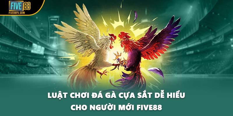 Luật chơi đá gà cựa sắt dễ hiểu cho người mới FIVE88