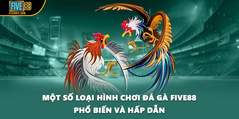 Một số loại hình chơi đá gà Five88 phổ biến và hấp dẫn