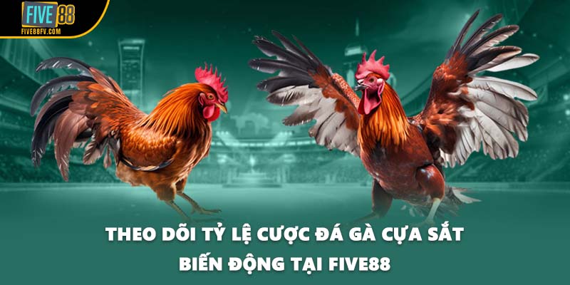 Theo dõi tỷ lệ cược đá gà cựa sắt biến động tại FIVE88