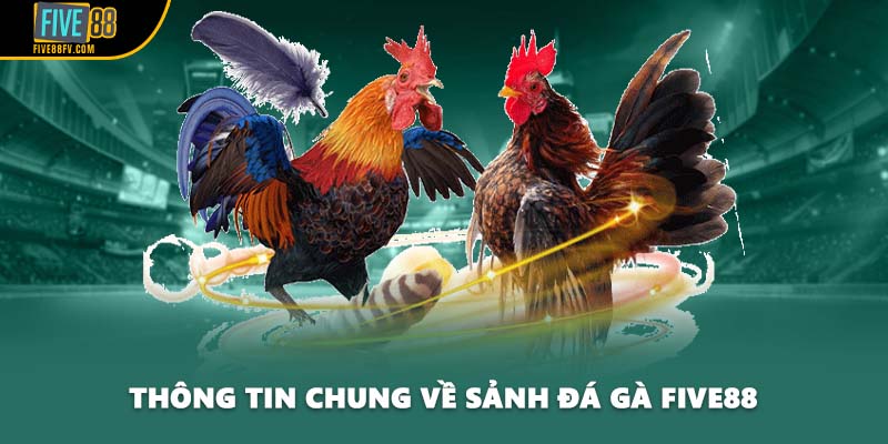 Thông tin chung về sảnh đá gà Five88