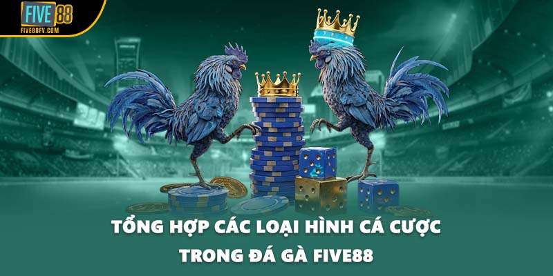 Tổng hợp các loại hình cá cược trong đá gà Five88