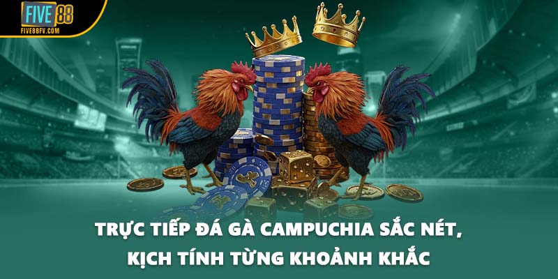 Trực tiếp đá gà Campuchia sắc nét, kịch tính từng khoảnh khắc